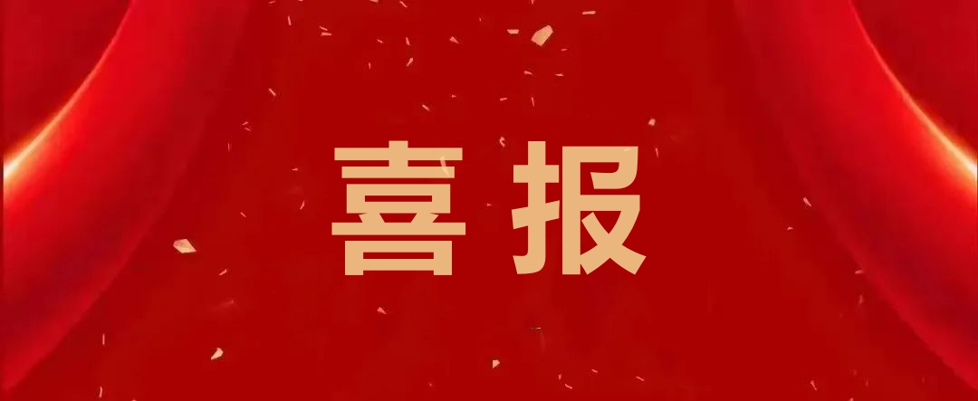 喜报!五大联赛“两河明珠”团队荣膺团中央“优秀团队”称号